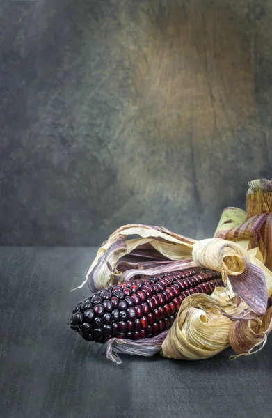 Purple corn cob — Stock Photo, Image