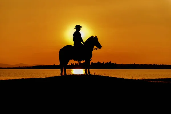 Silhouette Cowboy zu Pferd lizenzfreie Stockfotos