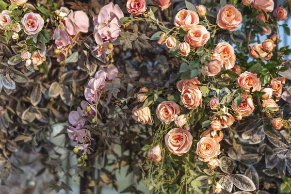 Colorat de flori de plastic — Fotografie, imagine de stoc