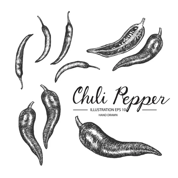Conjunto de chile. Colección dibujada a mano por tinta y bolígrafo . — Archivo Imágenes Vectoriales