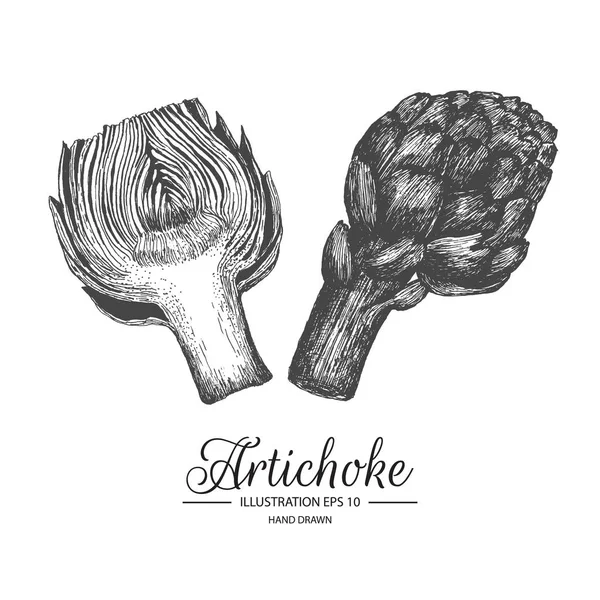 Conjunto de alcachofas. Colección dibujada a mano por tinta y bolígrafo . — Vector de stock
