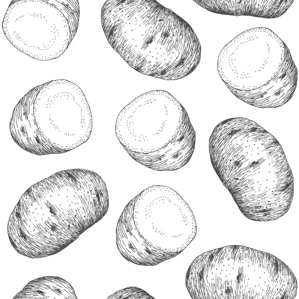 Seamless pattern design or background with potato. — Stock Vector