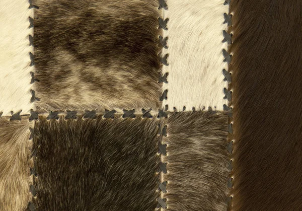 毛皮の抽象的な背景 — ストック写真