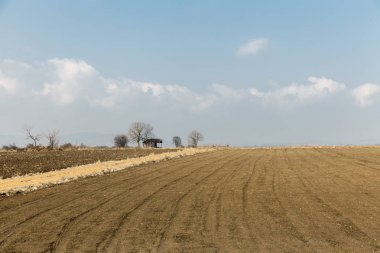 alanlar ve çayırlar 