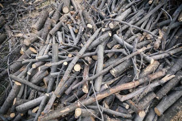 Dřevo řezané a hromadí — Stock fotografie