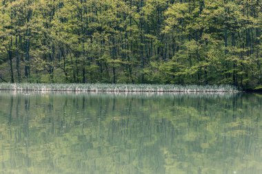 doğa manzara su yansıma