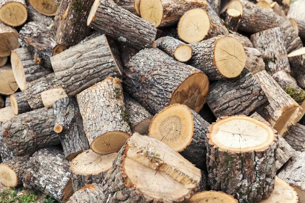 Dřevo na oheň na zimu — Stock fotografie