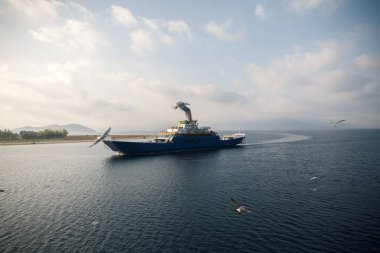 Deniz ve martı feribot