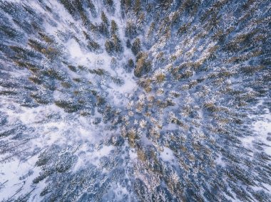 Norveç kış orman yukarıdan
