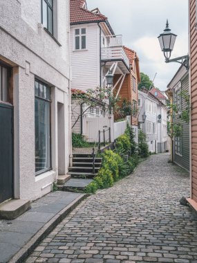 Basit ve modern İskandinav tasarım ve yeşil bitkiler ile yeni yaşam binalar