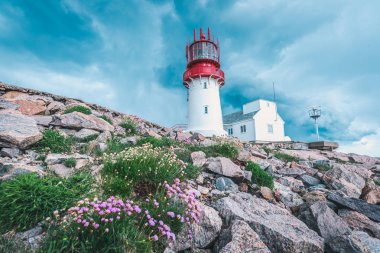 Lindesnes Fyr feneri kenarında kayalık deniz kenarı, Norveç