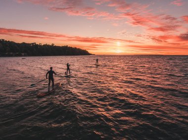 Bir grup insan kürek kurulları denizinde yelken