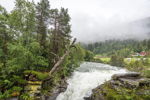 Río Bosque Silvestre Coníferas Las Montañas Noruegas Cubiertas Niebla Día — Foto de Stock