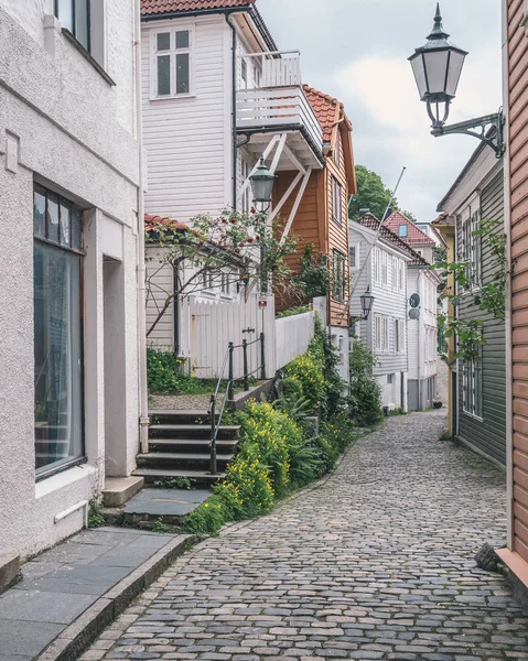 Новые Жилые Здания Простым Современным Скандинавским Дизайном Зелеными Растениями — стоковое фото