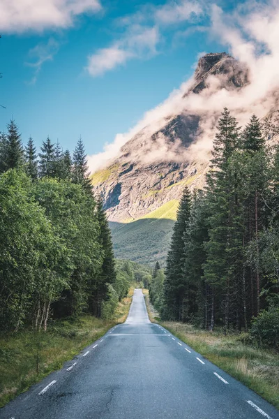 Amazing Road Norwegian Coniferous Forest High Top Snowy Mountain Background — Stock Photo, Image