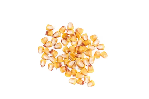 Grãos de sementes de milho — Fotografia de Stock