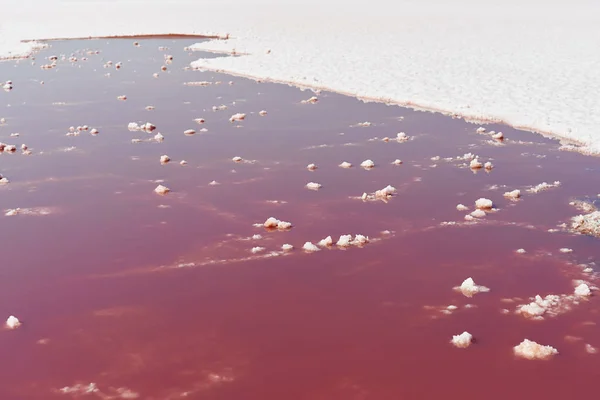Ροζ νερό αλάτι στη λίμνη Εικόνα Αρχείου