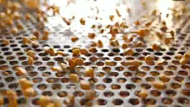 Granos Maíz Abollados Coctelera Separadora Semillas Para Cereales — Vídeos de Stock