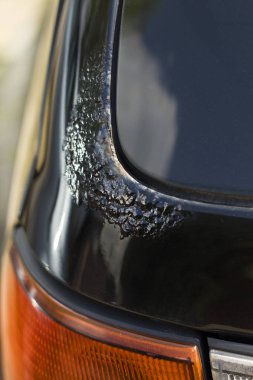 Siyah araba cila gövde mandal üzerinde korozyon.