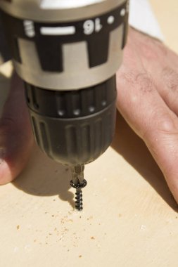 Çalışanın Osb tahtasına tornavida vida. Carpenter'ın el vidalı bir tornavida kullanarak Osb içine canı cehenneme..