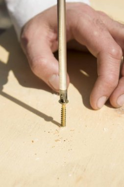 Marangoz altın vida bir tornavida ile vida..