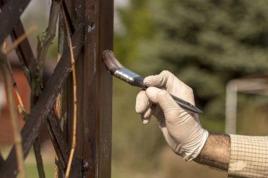 Bahçe pergola 'sının onarımı ve bakımı. Lastik eldivenli bir adamın eli bir fırça tutuyor ve kahverengi renkli bir bahçe mobilyasının ahşap tahtasını boyuyor..
