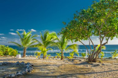 Topluluk sahilde tablo