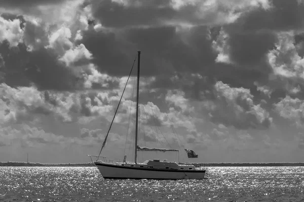 Velero único — Foto de Stock