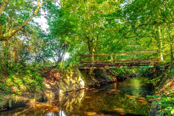 Wimbledon-Brücke — Stockfoto