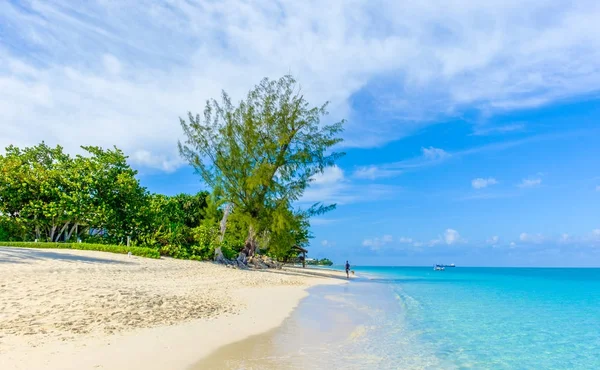 Karayipler, Grand Cayman, Cayman Adaları'ndaki yedi mil Beach