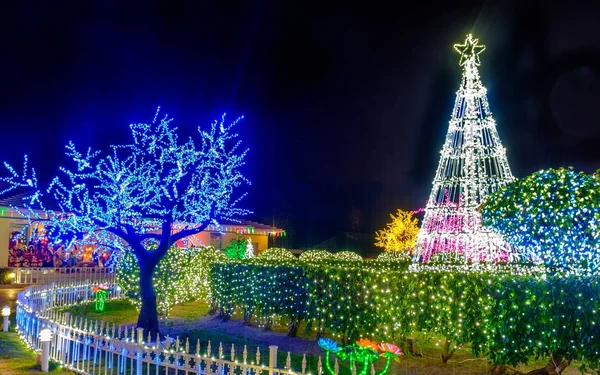 Gece Noel ışıkları Karayipler, Grand Cayman, Cayman Adaları, Aralık 2017
