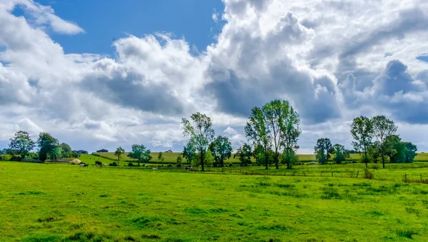 Verdant Fields Orne Countryside Summer Day Normandy France — Stock Photo, Image