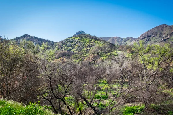 Parque Estadual Malibu Creek Nas Montanhas Santa Mônica Primavera 2019 — Fotografia de Stock