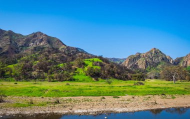 Santa Monica Dağları 'ndaki Malibu Creek Eyalet Parkı deresi 2019 ilkbaharında