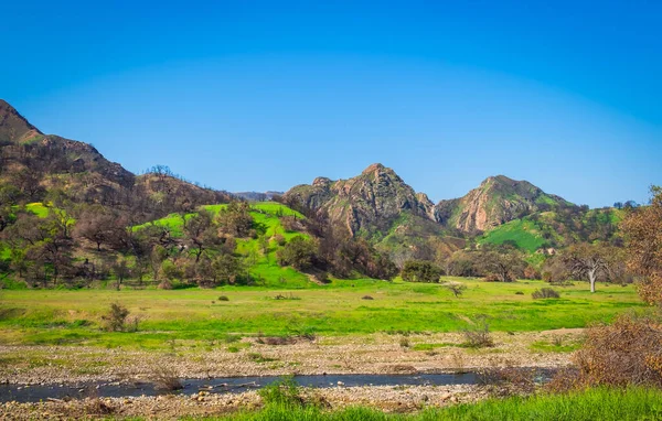 Santa Monica Dağları 'ndaki Malibu Creek Eyalet Parkı deresi 2019 ilkbaharında