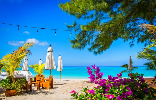 Small palm tree flowers and closed parasols on an empty Seven Mile Beach during confinement, Cayman Islands