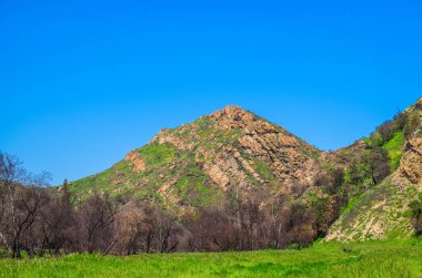 Malibu Creek Eyalet Parkı Santa Monica Dağları 2019 ilkbaharında