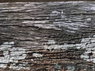 arka yüzey eski ahşap dokulu