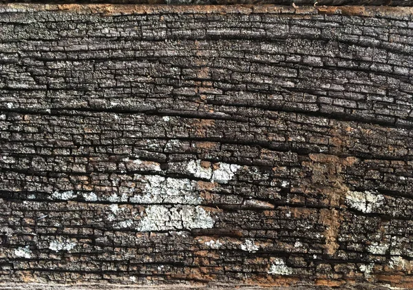 Background textured surface old wooden — Stock Photo, Image