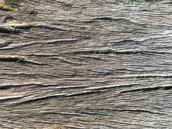 Background textured surface old wooden — Stock Photo, Image