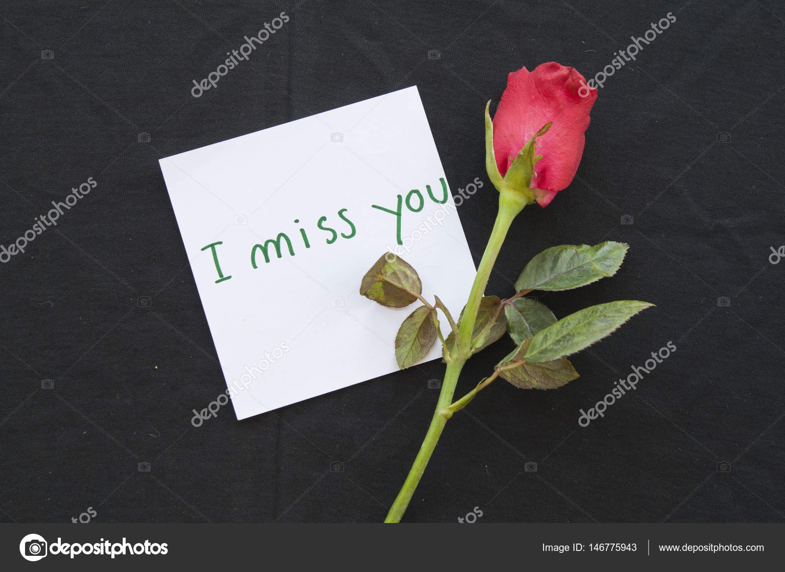 I miss you message card with red rose Stock Photo by ©phenphayom ...