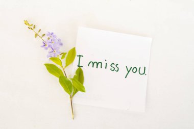 Ben seni mor çiçek kartıyla mesaj