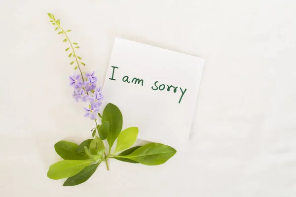 i am sorry message card with purple flower