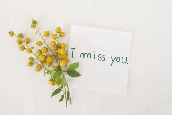 Mi manchi messaggio card con fiori di grano — Foto Stock