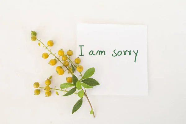 Lo siento tarjeta de mensaje con flores de grano —  Fotos de Stock