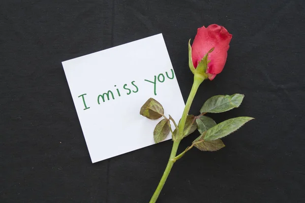 i miss you message card with red rose