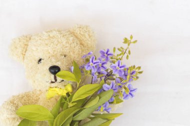 oyuncak ayı beyaz ile mor çiçekler