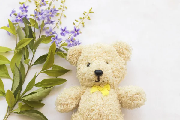 Flores púrpuras con oso de peluche en blanco —  Fotos de Stock