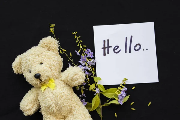 Hola tarjeta de mensaje de saludo y flores moradas con oso de peluche en negro —  Fotos de Stock