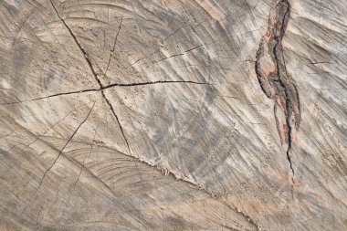 arka plan doku yüzey uyarısı ağacı ahşap